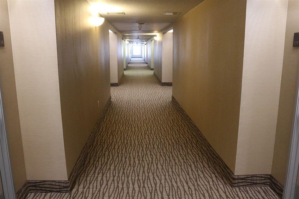 Comfort Suites New Braunfels Zewnętrze zdjęcie