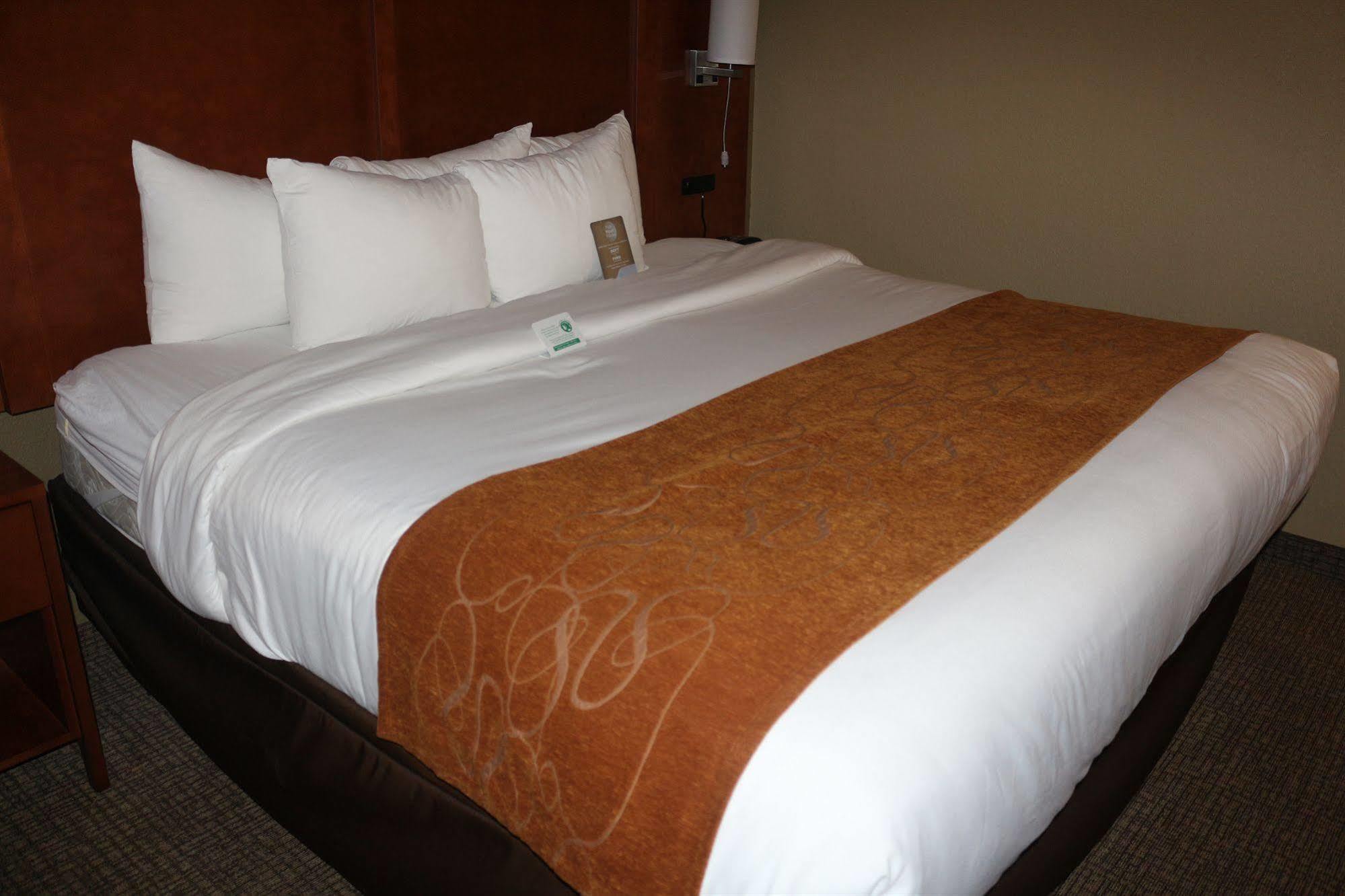 Comfort Suites New Braunfels Zewnętrze zdjęcie