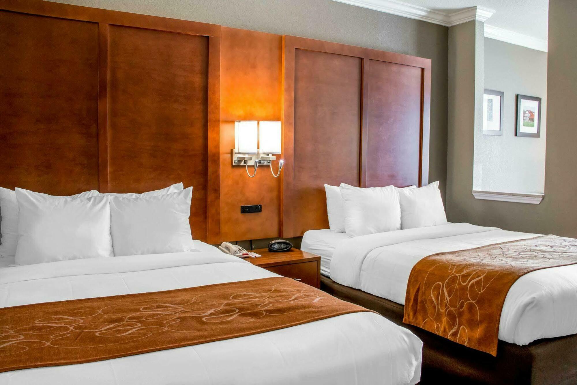Comfort Suites New Braunfels Zewnętrze zdjęcie
